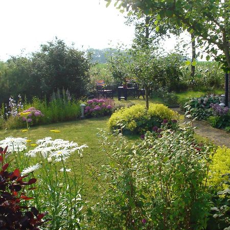 B&B Op De Vlakte Oosternijkerk Екстериор снимка
