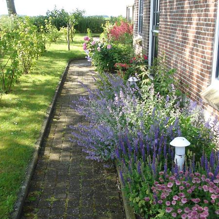 B&B Op De Vlakte Oosternijkerk Екстериор снимка