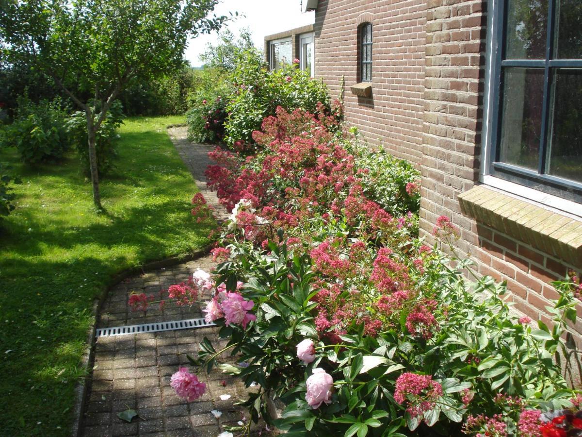 B&B Op De Vlakte Oosternijkerk Екстериор снимка